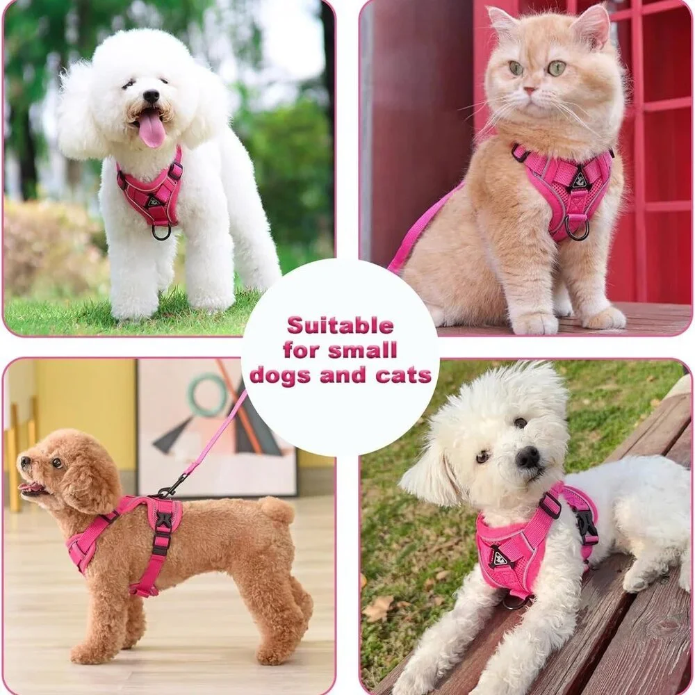 Small Dog Harness & Leash Set | Adjustable Puppy Cat Walking Vest Lead Pink XXS